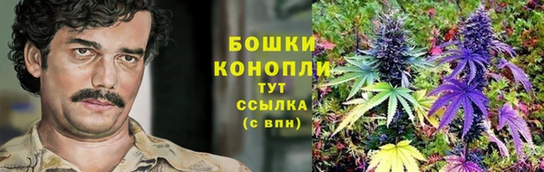 прущий лед Вяземский